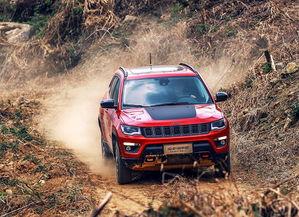 国产二,崛起中的民族品牌力量